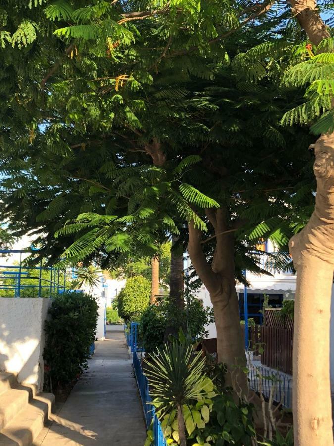 Bungalow Playmar Playa del Ingles  Dış mekan fotoğraf